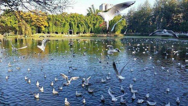 太阳成集团